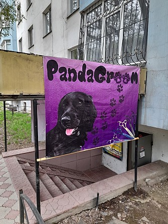 Груминг салон для животных PANDAGROOM - изображение 1
